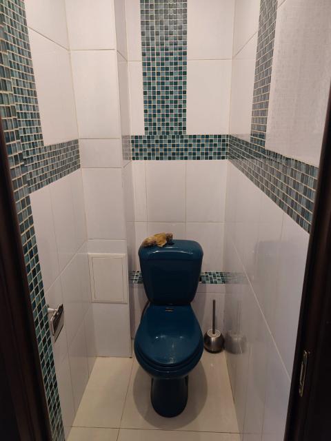 3 комн., 71 м², Инд. планировка, Апельсин 3