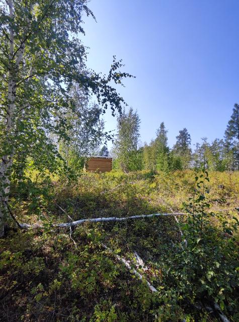 Участок под ИЖС, 10000.0 м²