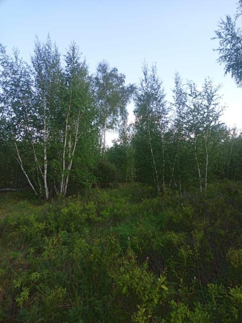 10000 м², земельные участки, продаю