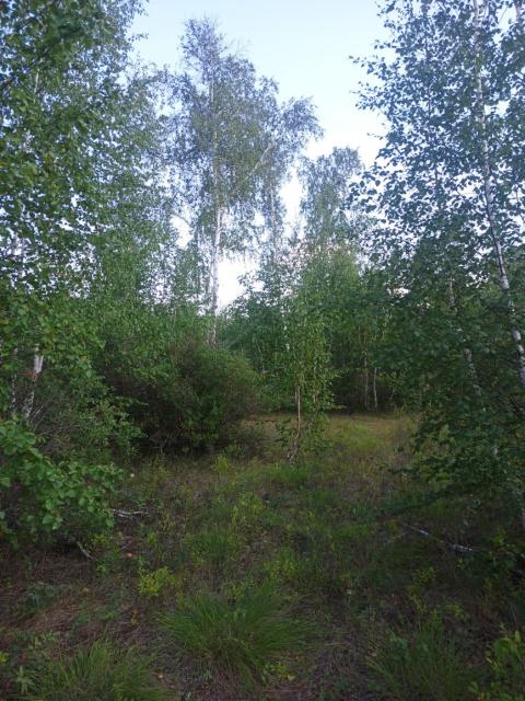 10000 м², земельные участки, продаю 2