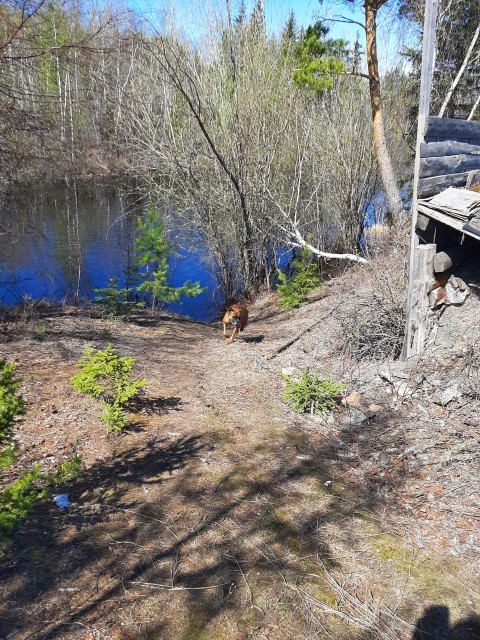 10000 м², земельные участки, продаю 2