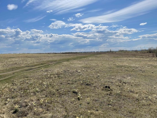 Участок, 10000.0 м²