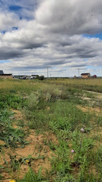 10000 м², земельные участки, продаю