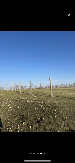 10000 м², земельные участки, продаю 3