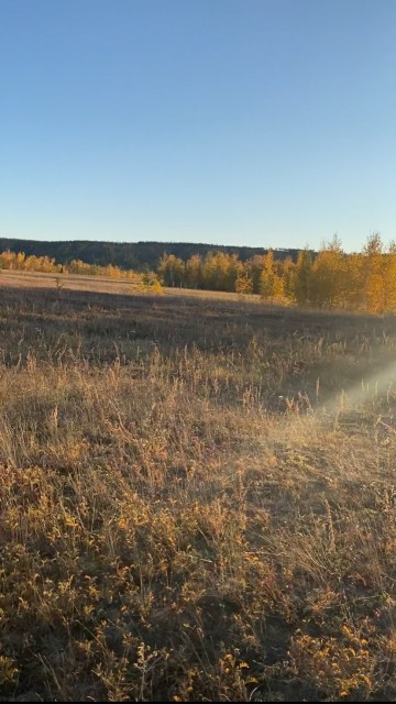 10000 м², земельные участки, продаю 2