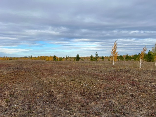 10000 м², земельные участки, продаю 6