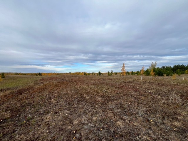 10000 м², земельные участки, продаю 5