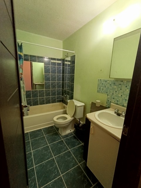 1 комн., Каркасно-щитовой, Борисовка-2 5