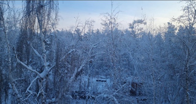 954 м², земельные участки, продаю 3