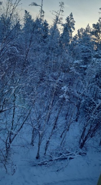 954 м², земельные участки, продаю 2