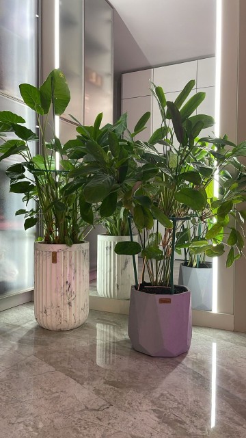 2 комн., 67 м², Инд. планировка, 203 мкрн. 16