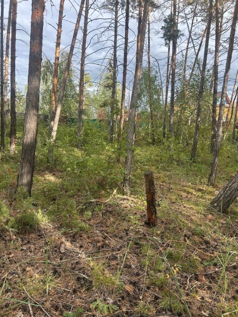 20000 м², земельные участки, продаю 4