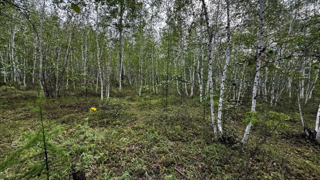 753 м², земельные участки, продаю 2