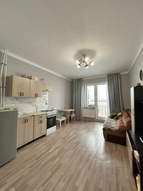 Студия, 27 м², Монолитно-каркасный 2