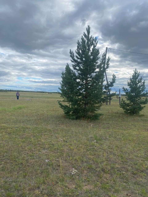 901 м², земельные участки, продаю 2