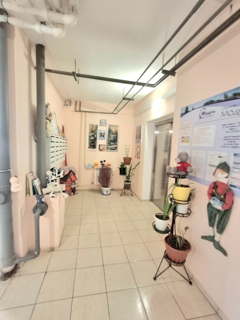 Студия, 25 м², Монолитно-каркасный, Поселок Геологов, Борисовка-1 2