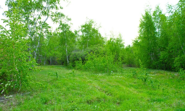 1513 м², земельные участки, продаю 8