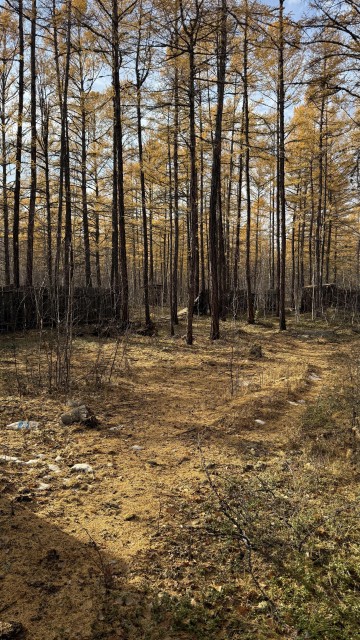 10 м², земельные участки, продаю 3