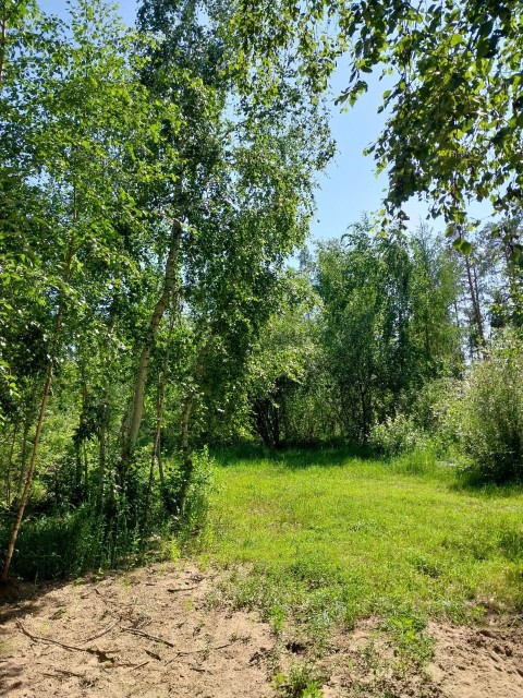 800 м², земельные участки, продаю 10