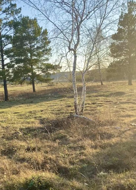 1013 м², земельные участки, продаю