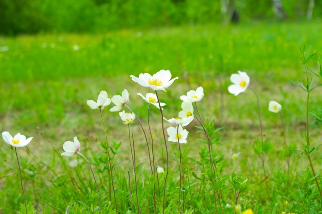 1513 м², земельные участки, продаю 14