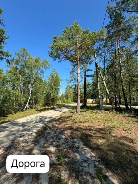 954 м², земельные участки, продаю 12