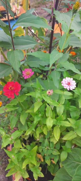 Земельные участки, продаю 7