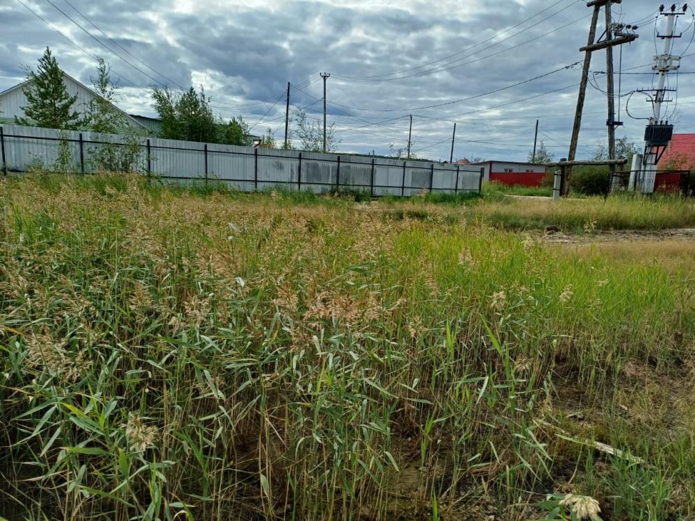 Земельные участки, продаю 3