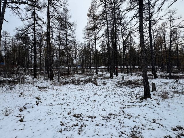 954 м², земельные участки, продаю