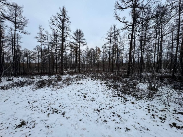 954 м², земельные участки, продаю 2