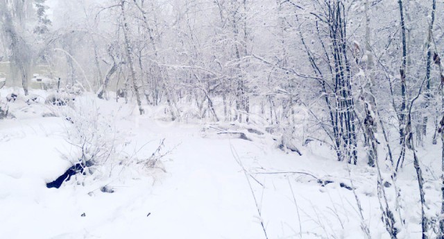 950 м², земельные участки, продаю 4