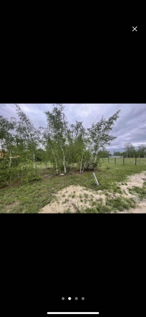 1000 м², земельные участки, продаю 5