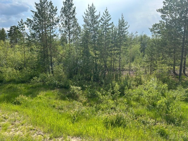 2200 м², земельные участки, продаю 3