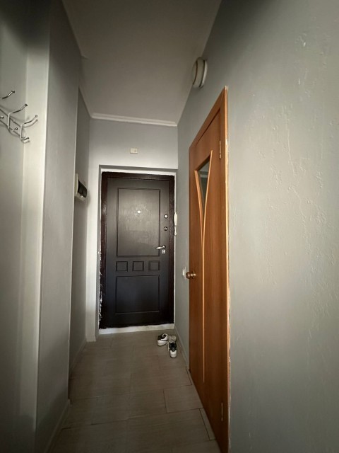 Студия, 23 м², Монолитно-каркасный, Сахацирк 3