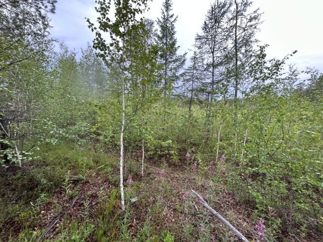 2000 м², земельные участки, продаю 3