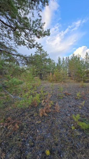 1000 м², земельные участки, продаю