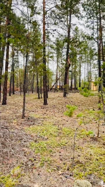 1201 м², земельные участки, продаю 2