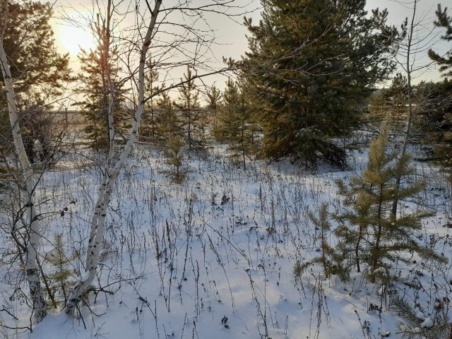 9 м², земельные участки, продаю 6