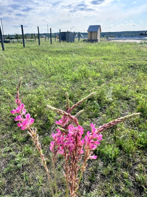 1000 м², земельные участки, продаю