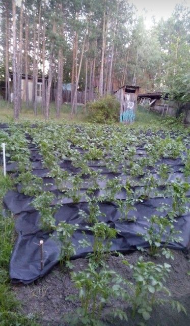 1600 м², земельные участки, продаю 4