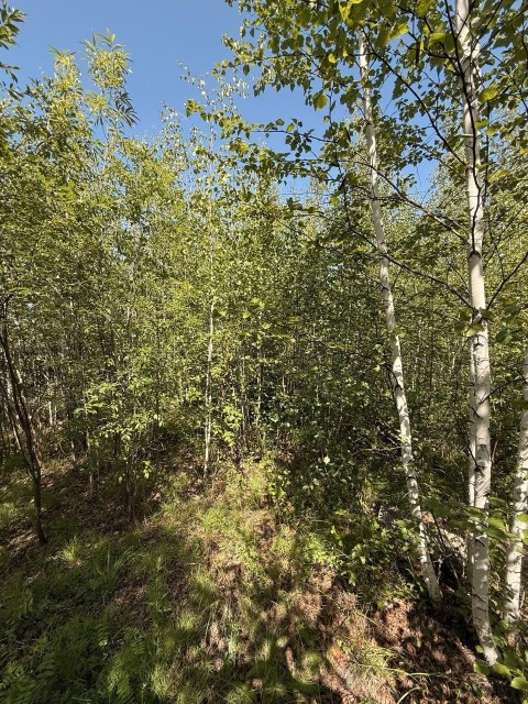 1055 м², земельные участки, продаю 4