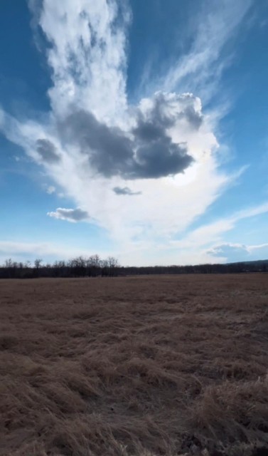 600 м², земельные участки, продаю 2