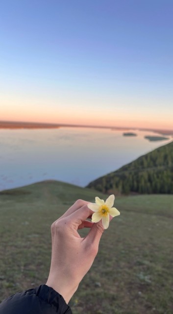 2000 м², земельные участки, продаю