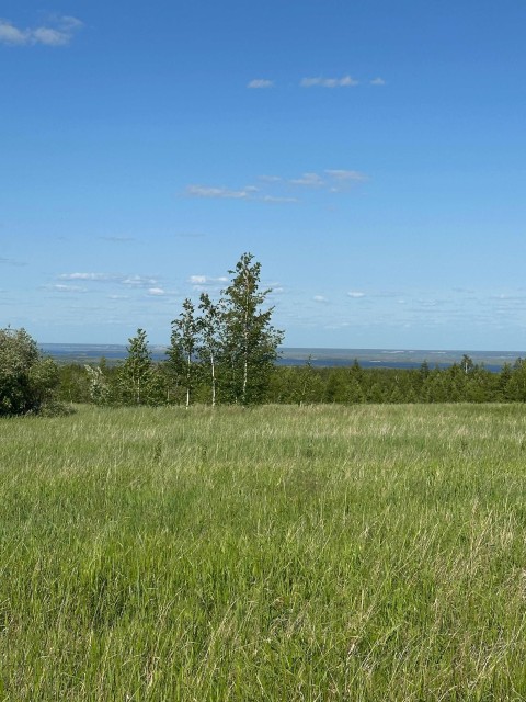 10000 м², земельные участки, продаю 2