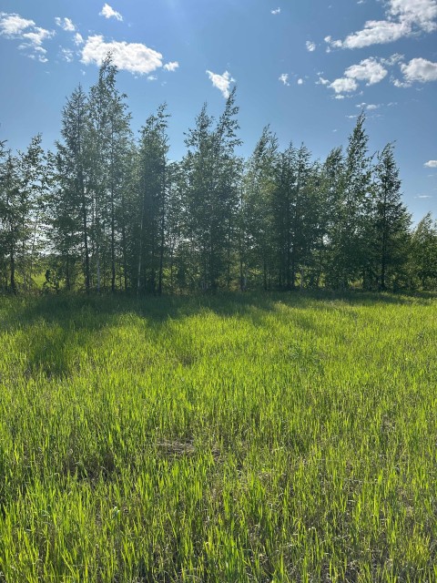 10000 м², земельные участки, продаю 4