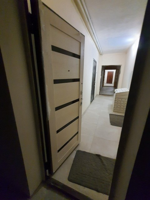 1 комн., 46 м², Монолитно-каркасный, Центр - район пл. Орджоникидзе 14