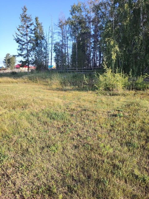 1232 м², земельные участки, продаю 10