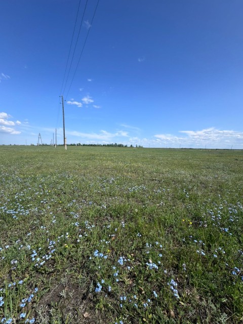 1000 м², земельные участки, продаю