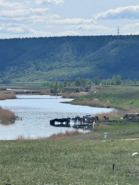 1000 м², земельные участки, продаю 2