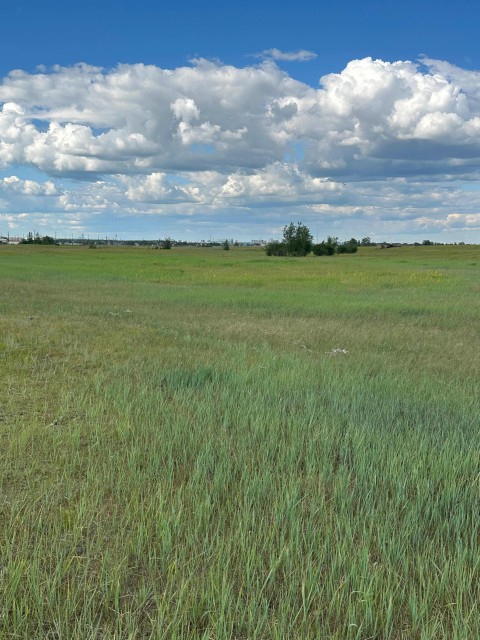 800 м², земельные участки, продаю 2